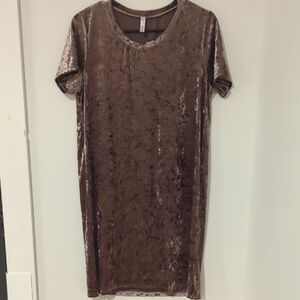 Acting Pro Shimmering Velvet Short Sleeve Dress